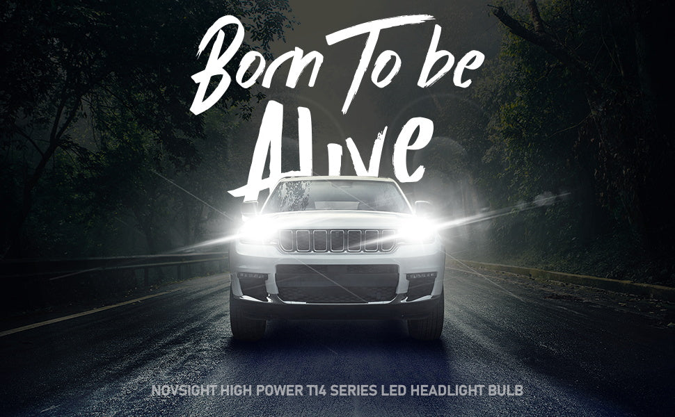 Novsight T14